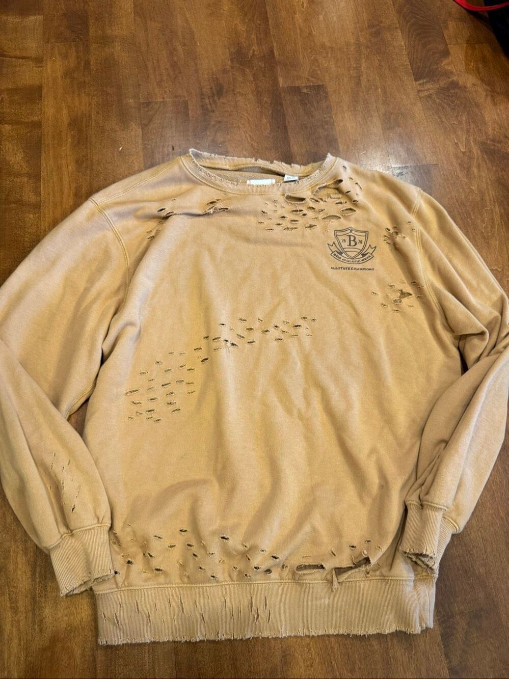 BDG Urban Outfitters Distressed All State Champions Sweatshirt Tan Size XS